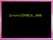 ライブチャット画面