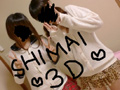 SHIMAI3D