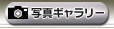 ライブチャット チャットレディプロフィール