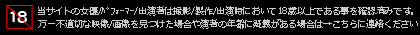 アダルトコンテンツ案内